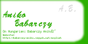 aniko babarczy business card